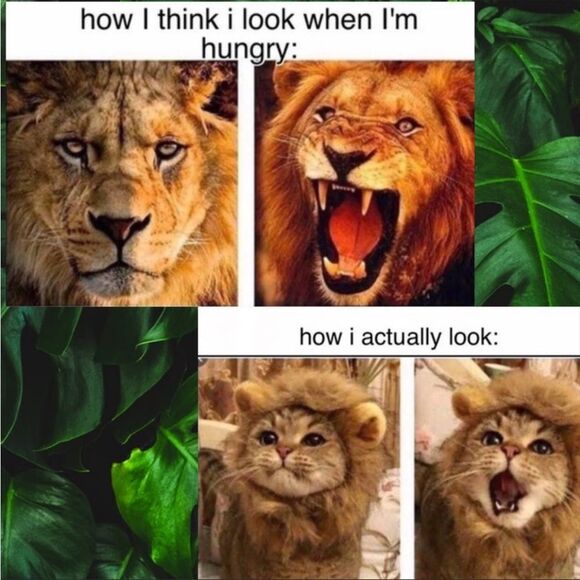 J. Crew Heirloom Black Sequin Tank - Size Medium - Picture 12 of 12